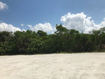 Trees growing on field against sky