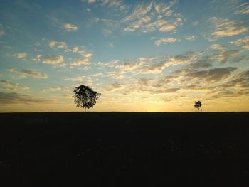 Silhouette tree on field against sky at sunset