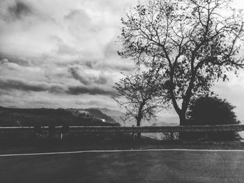 Bare trees against cloudy sky