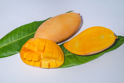 Directly above shot of orange fruits on white background