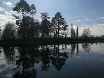 Reflection of trees in lake against sky