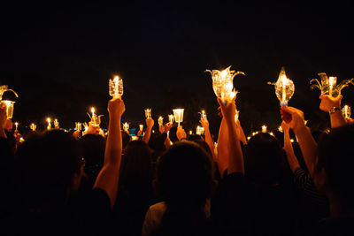 Group of people at music concert