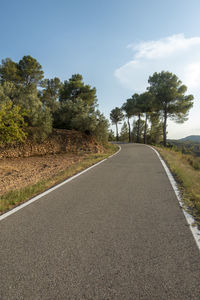 Empty road along trees