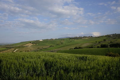 High angle view of agricultural field against cloudy sky