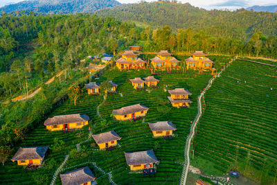 High angle view of agricultural field by trees and plants