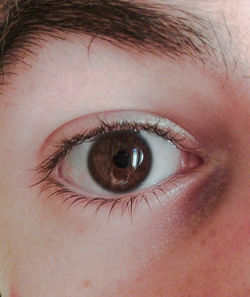 Extreme close up of human eye