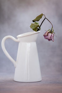 Close-up of white rose on table