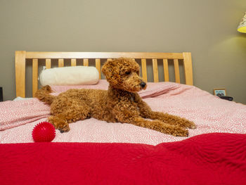Stuffed toy on bed at home