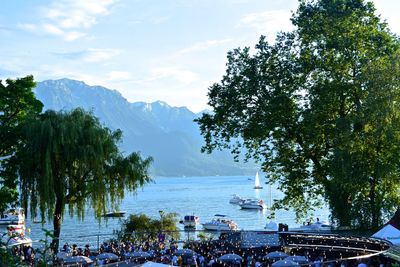 Trees on beach against sky