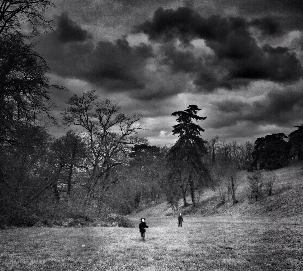 sky, lifestyles, leisure activity, cloud - sky, men, full length, tree, cloudy, landscape, field, walking, nature, person, grass, rear view, cloud, tranquility