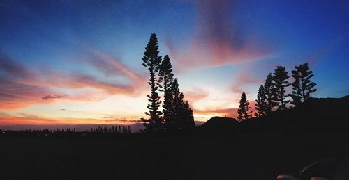 Silhouette trees against sky during sunset