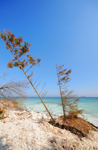 Scenic view of sea against clear blue sky