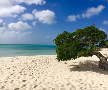 Scenic view of beach against sky