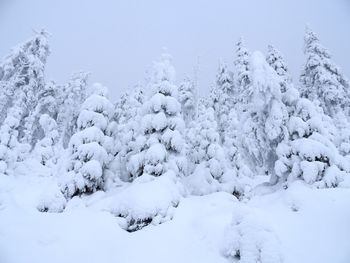 Snow covered land against sky