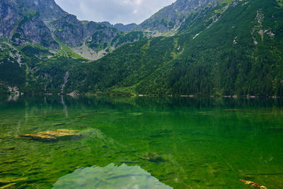 Mountains range near beautiful lake. tatra national park in poland. morskie oko or sea eye lake