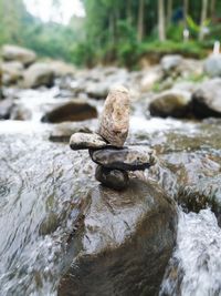 Close-up of sculpture on rock