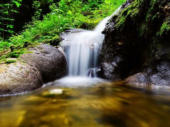 Scenic view of waterfall in forest