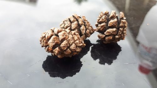 High angle view of pine cone on table
