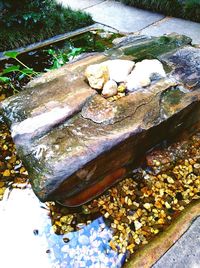 High angle view of crab on rock by lake