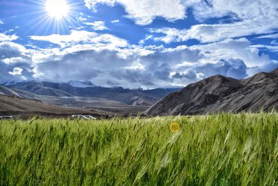 Scenic view of grassy field against sky on sunny day