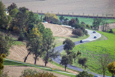 High angle view of road amidst trees