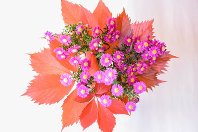 Bouquet of autumn flowers. aster flowers and red vines leaves in autumn