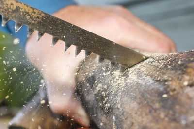 Close-up of person on wood