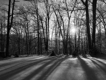 Road amidst bare trees during winter