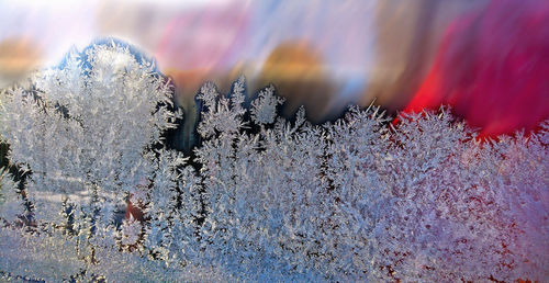 Close-up of snow against sky