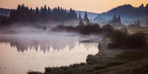 fog