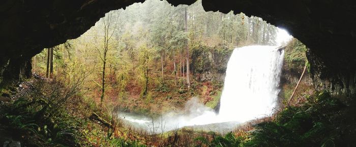 View of waterfall in forest