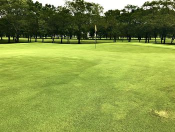 View of golf course