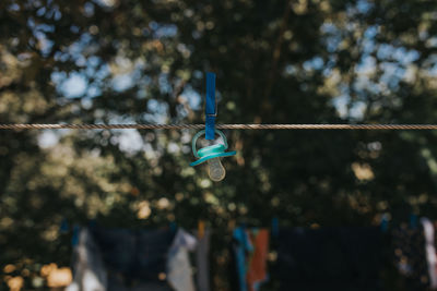 Low angle view of clothespins hanging on rope