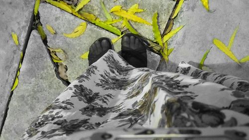 View of road along trees