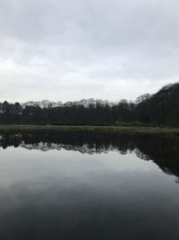 Scenic view of lake in forest against sky