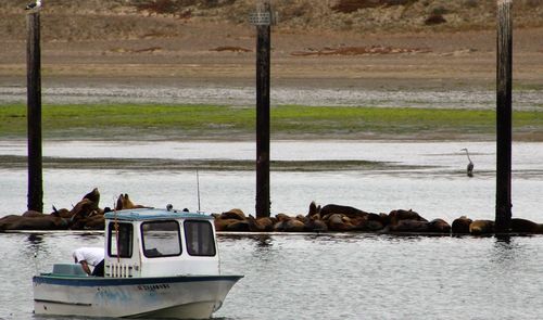 Nautical vessel in sea