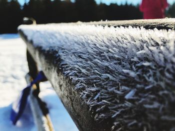 Close-up of frozen water