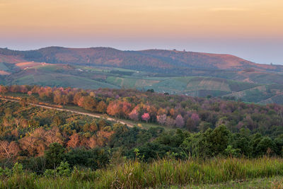 Scenic view of field against sky during sunset