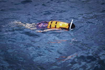 High angle view of floating on water