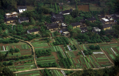 Aerial view of patchwork landscape