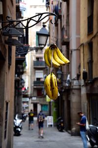 Close-up of yellow fruits hanging on street against buildings in city