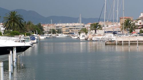 Sailboats moored in harbor