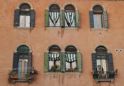 Low angle view of potted plant against building