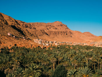 An arabic village in the mountains with a sea of palm trees in front