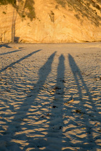 Shadow of people on snow covered land