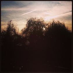 Silhouette of trees against cloudy sky