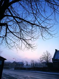 Bare tree against sky in winter