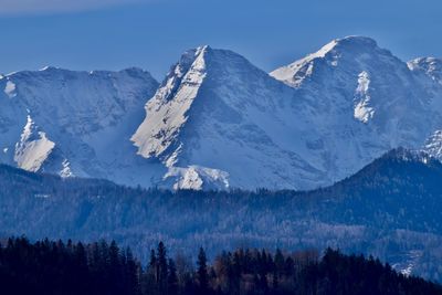 Scenic view of forest and snowcapped mountains against sky