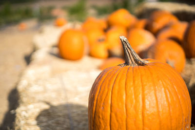 Close-up of pumpkin for sale