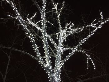 Full frame shot of illuminated christmas lights against black background